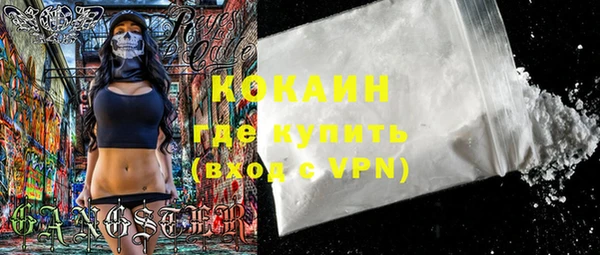 индика Лиски