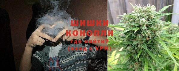 индика Лиски