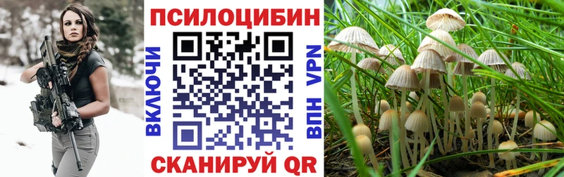 Купить где  Копейск  Псилоцибиновые грибы MAGIC MUSHROOMS 